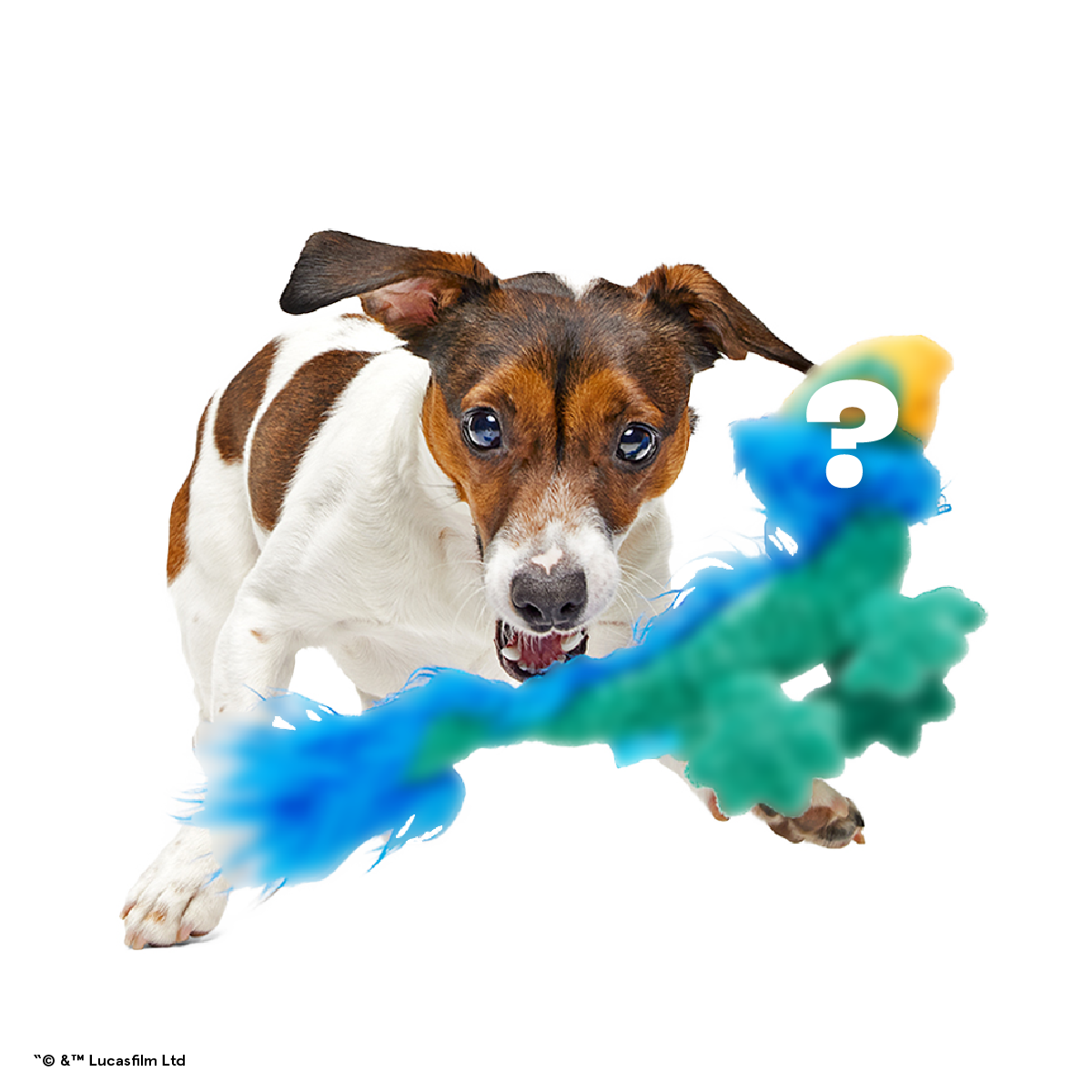 Star Wars™ Dog Toy Subscription Box – Creature Club