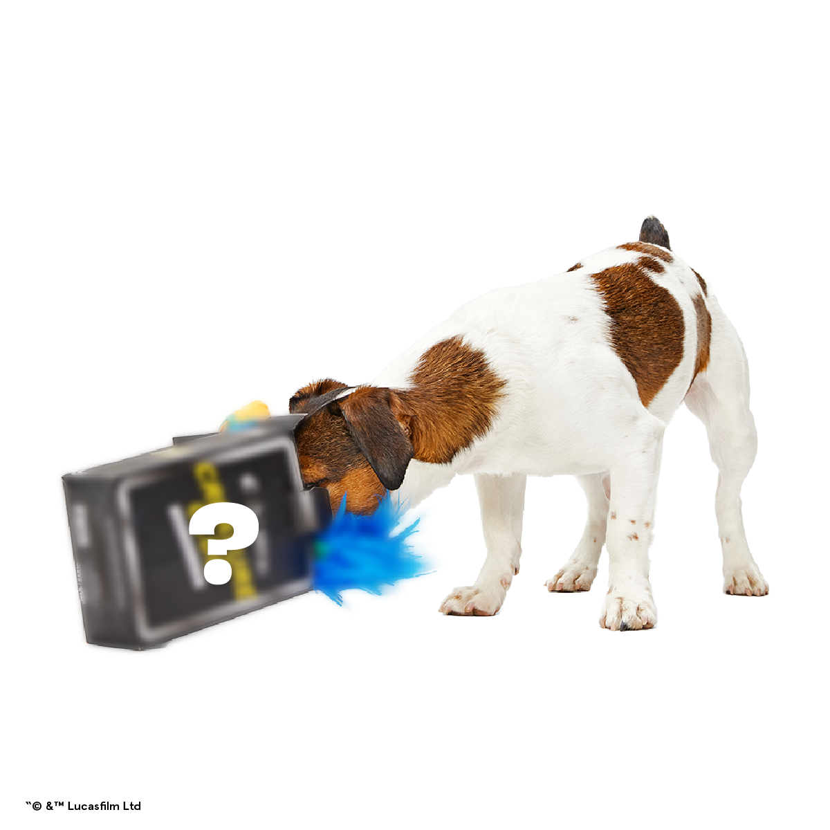 Star Wars™ Dog Toy Subscription Box – Creature Club