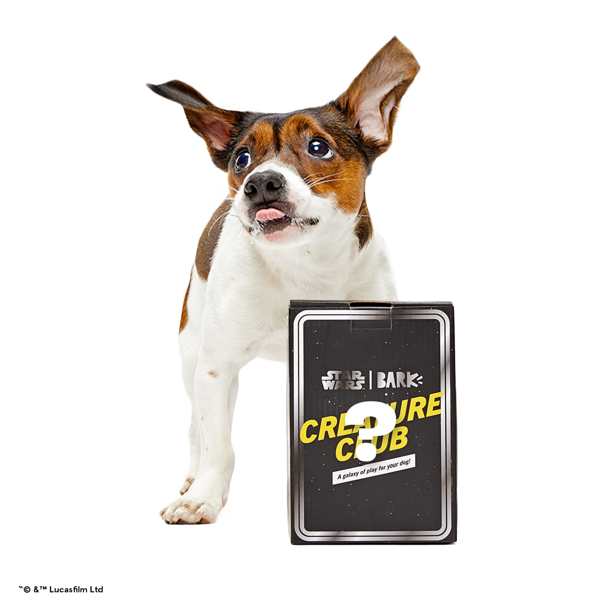 Star Wars™ Dog Toy Subscription Box – Creature Club