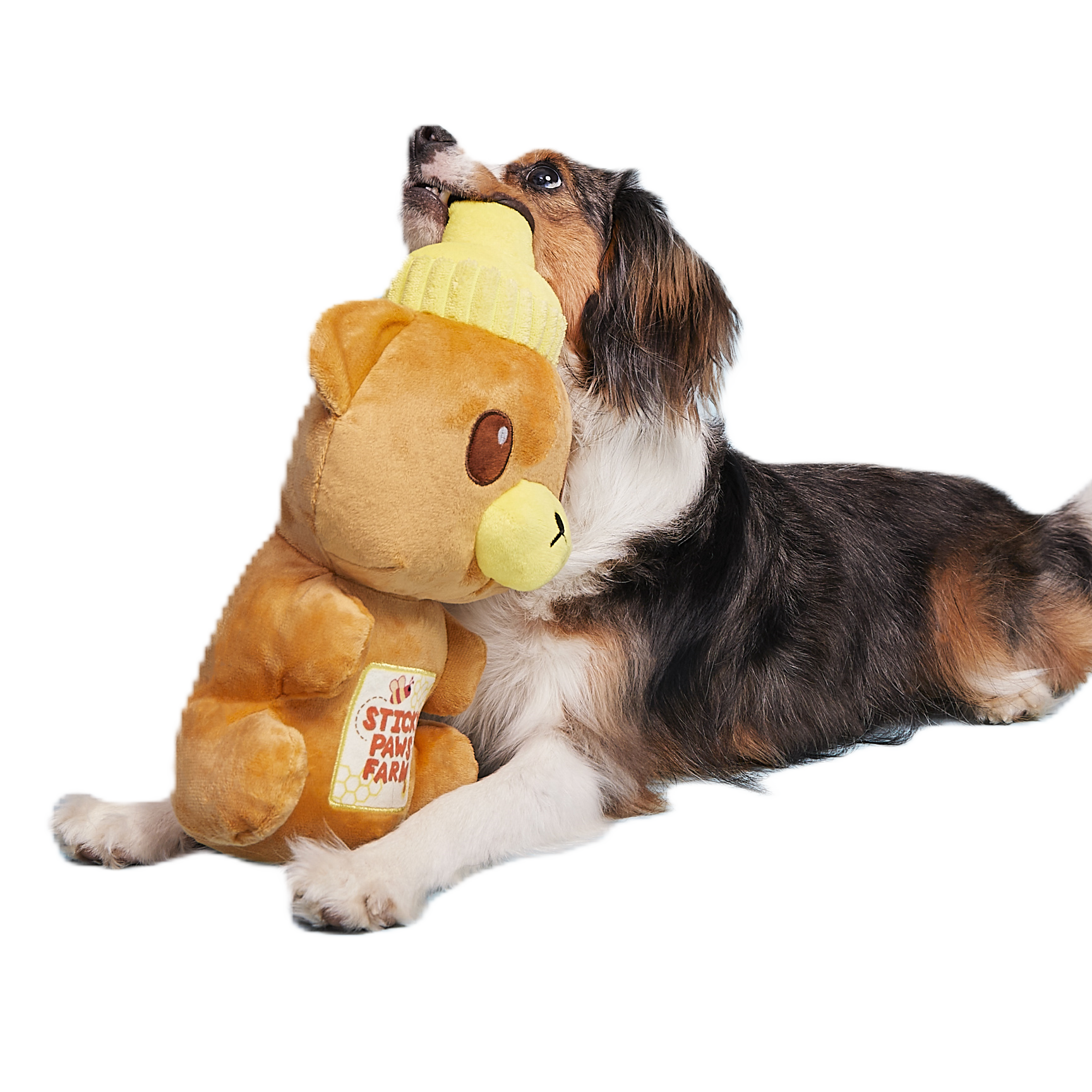 Sticky Paws XL Honey Bear Dog Toy with Squeaker & Crinkle
