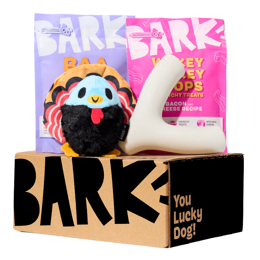 Super Chewer Dog Toy Subscription - 50% Off First Box