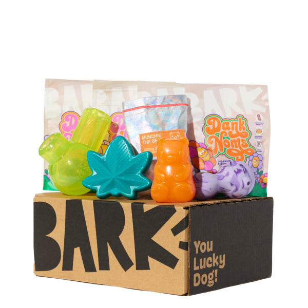 Bud Hounds Super Chewer Dog Toy Subscription Box - 12 Month Plan