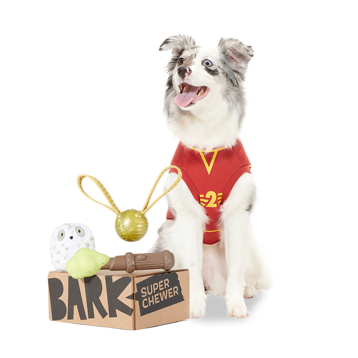 Harry Potter Super Chewer Dog Toy Subscription Box – 6 Months