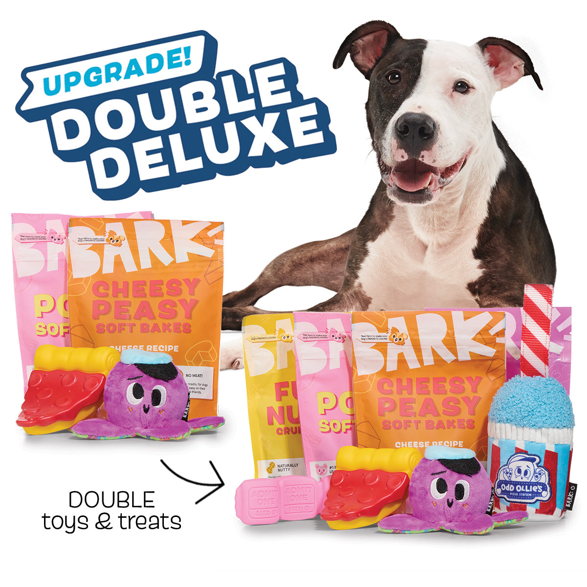 Double Deluxe Dog Chew Toy & Treat Upgrade for Super Chewers