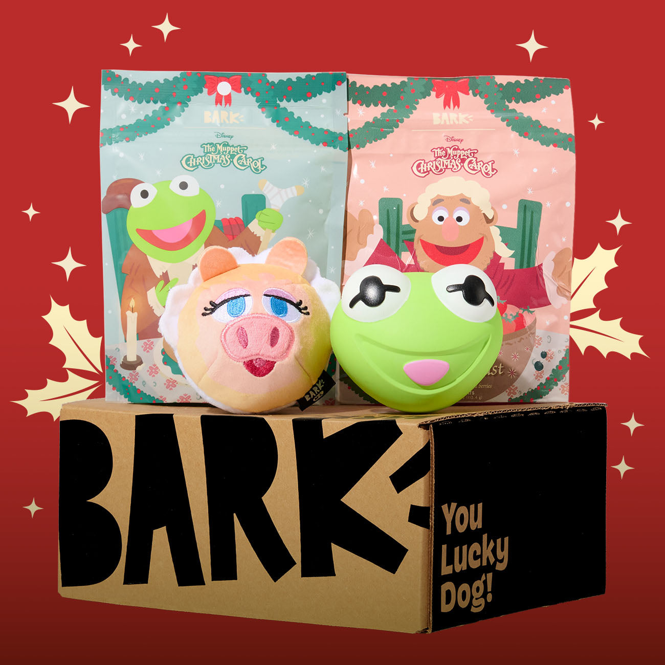 Muppets Super Chewer Dog Toy Subscription Box - First Month