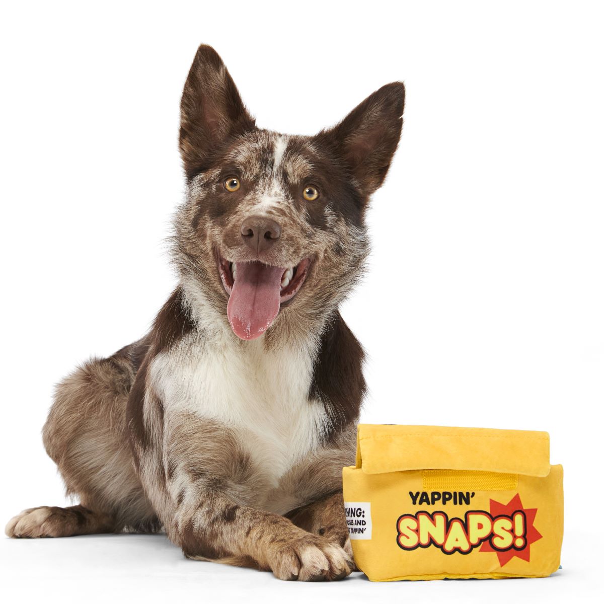 Squeaky Dog Toy with Crinkle Box & Tug Straps - Yappy Snaps