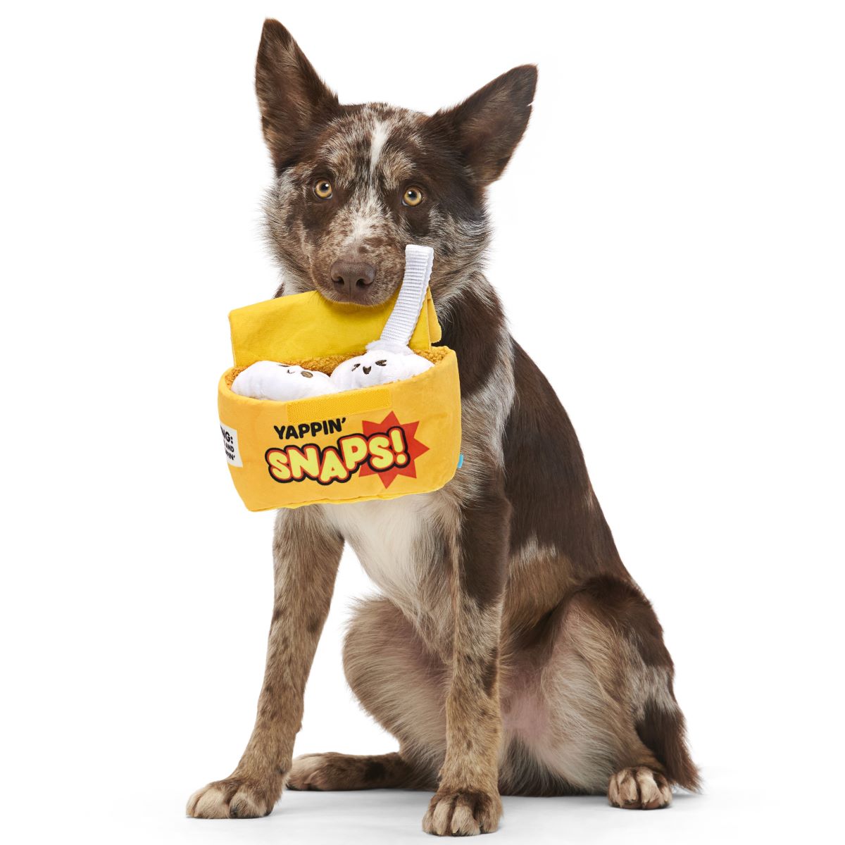 Squeaky Dog Toy with Crinkle Box & Tug Straps - Yappy Snaps