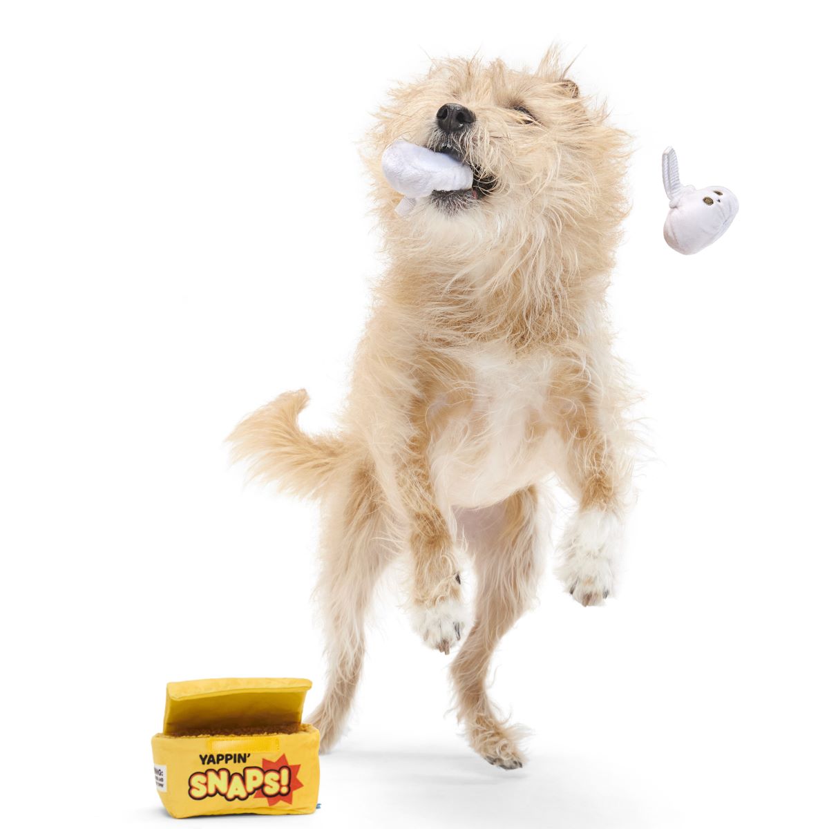 Squeaky Dog Toy with Crinkle Box & Tug Straps - Yappy Snaps