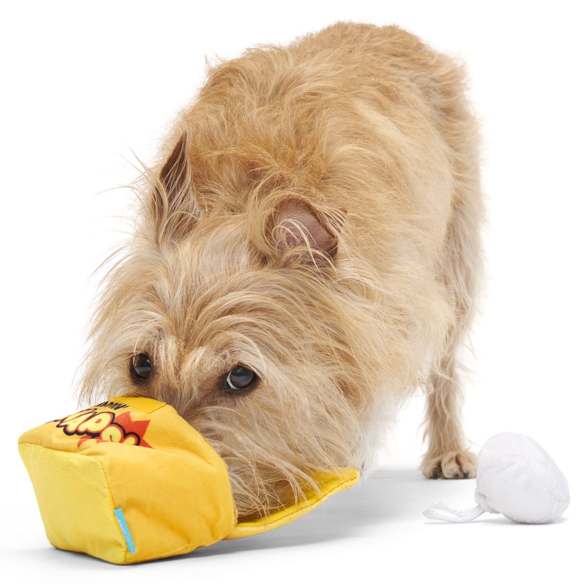 Squeaky Dog Toy with Crinkle Box & Tug Straps - Yappy Snaps