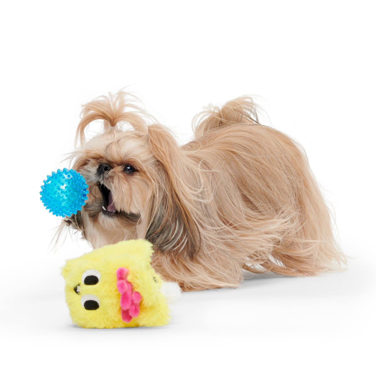 Super Chewer No Tug Dog Toy Subscription – 3 Month Supply