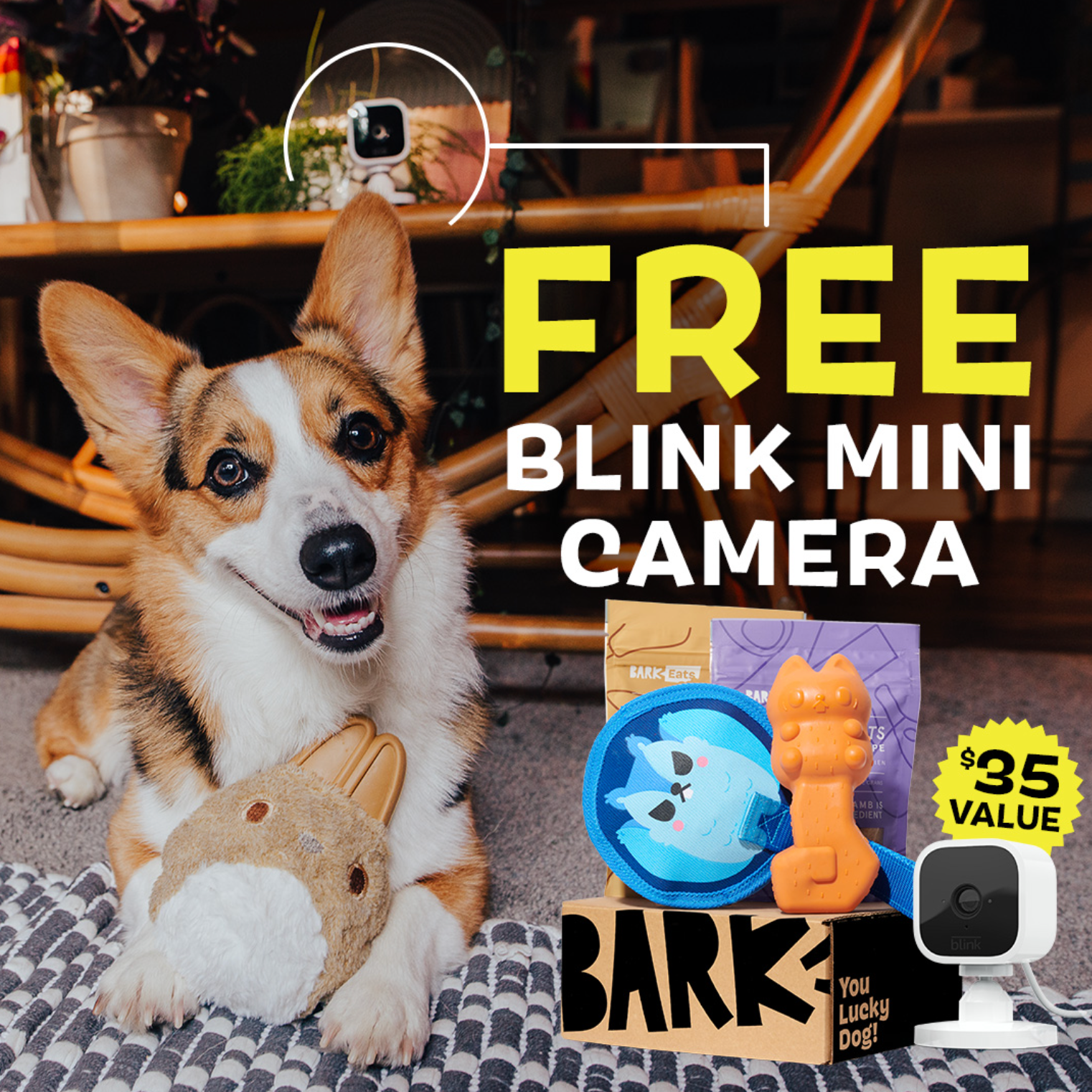 SuperChewer Dog Toy Subscription: 12-Month Plan + Free Blink Camera