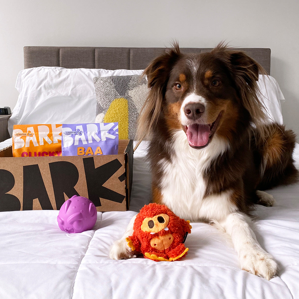 SuperChewer Dog Toy Subscription: 12-Month Plan + Free Blink Camera