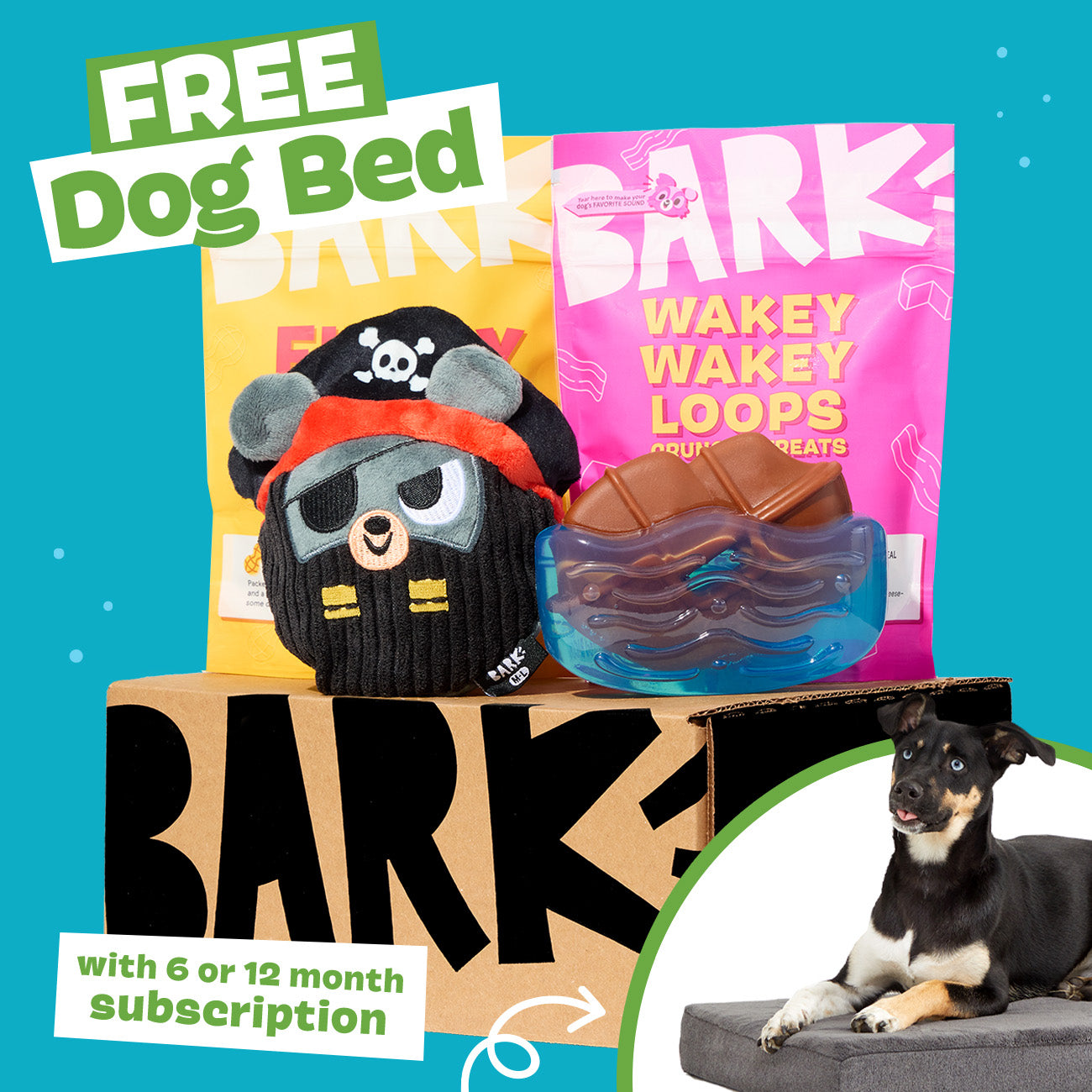 SuperChewer Dog Toy Subscription with Free Bed – 12 Months