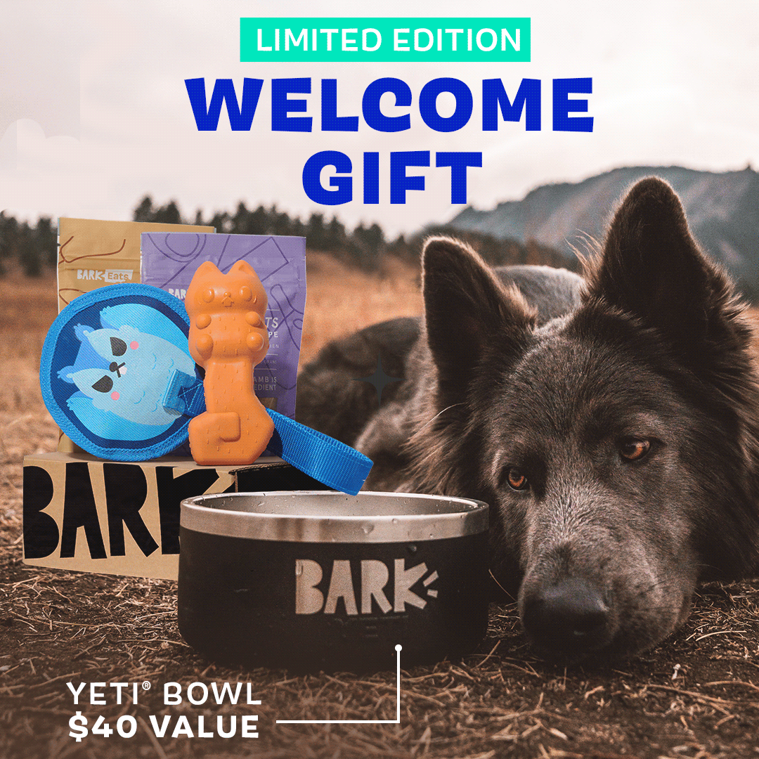 SuperChewer Dog Toy Subscription with Free Yeti Bowl – 6 Months