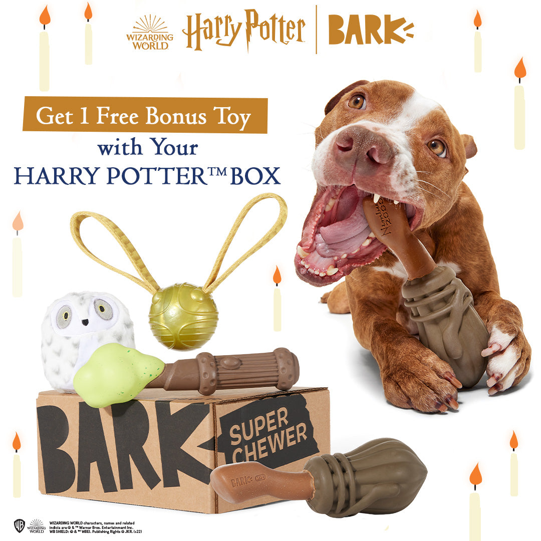 Harry Potter Dog Toy Subscription Box – 12 Months + Free Toy