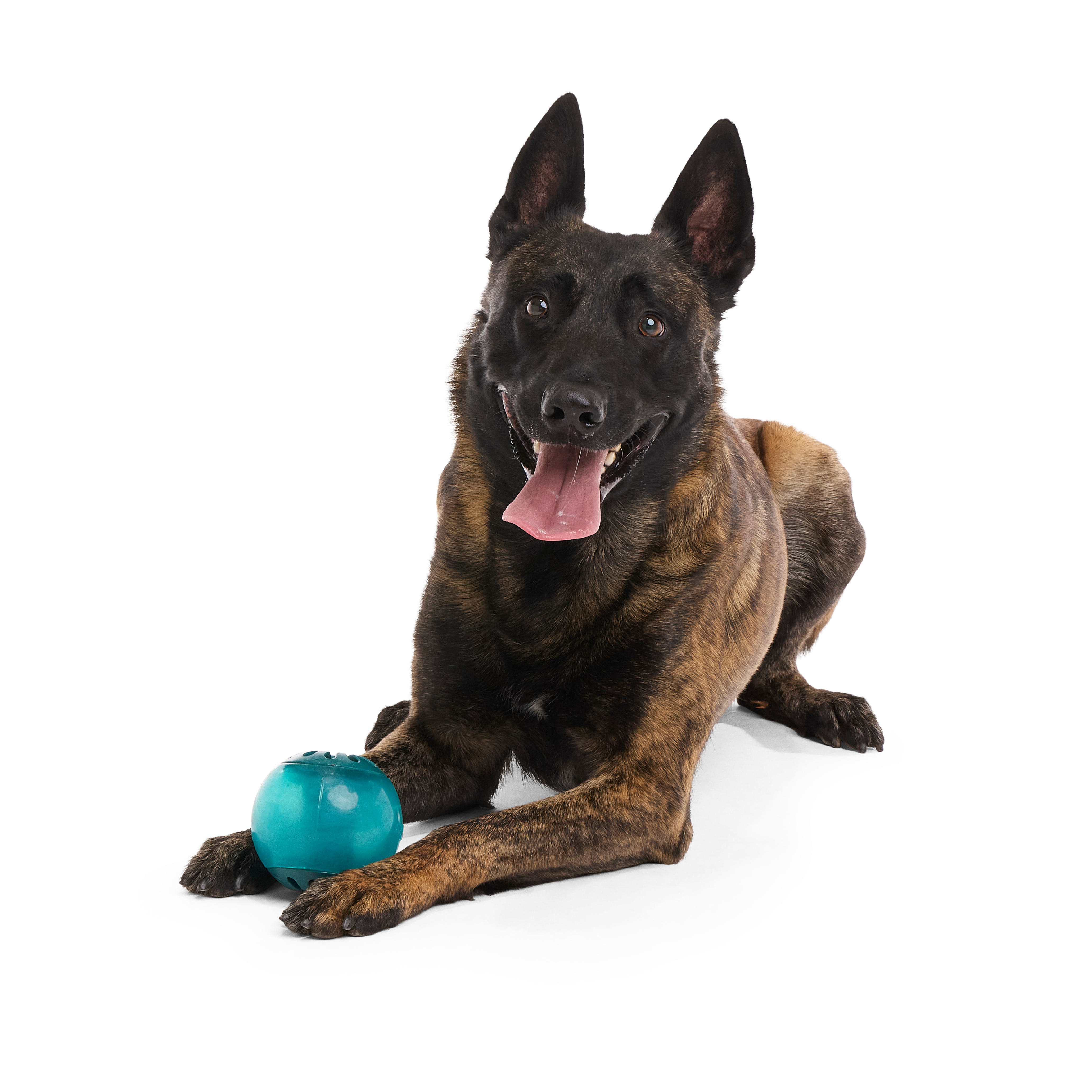 Teal Vortex Dog Toy with Squeaker & Treat Dispenser - Durable Rubber