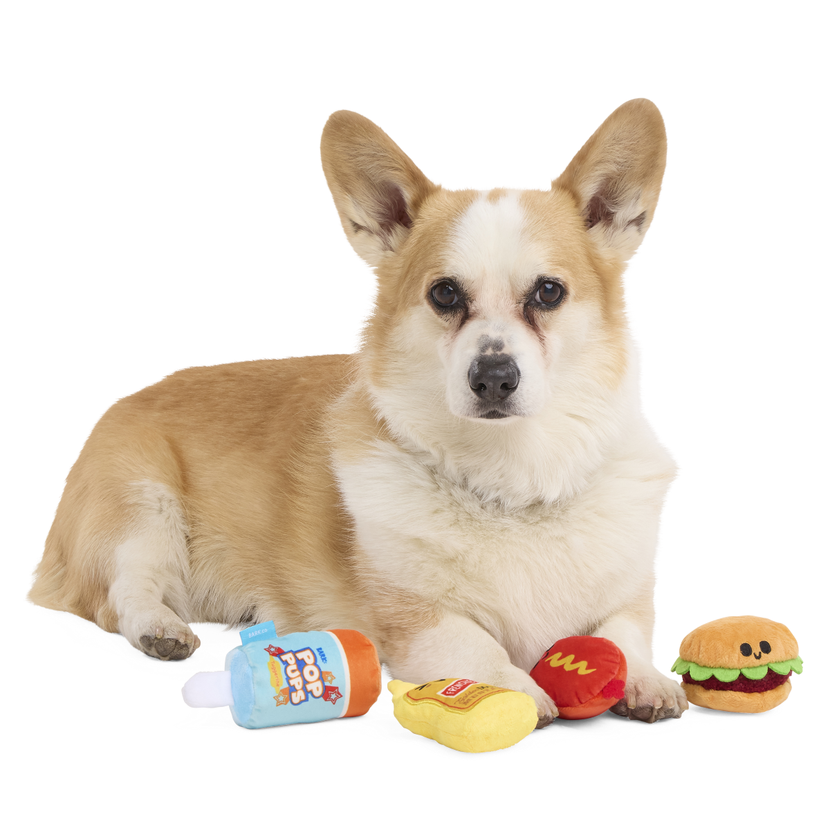 Squeaky Dog Toy Set - Bark-B-Q Bunch with Crinkle & 4 Squeakers