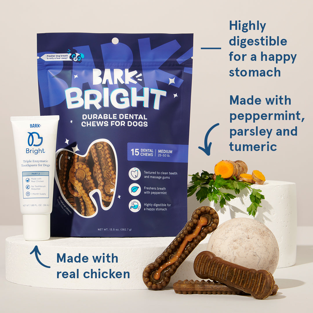 Durable Dog Dental Kit Subscription for Fresh Breath & Clean Teeth