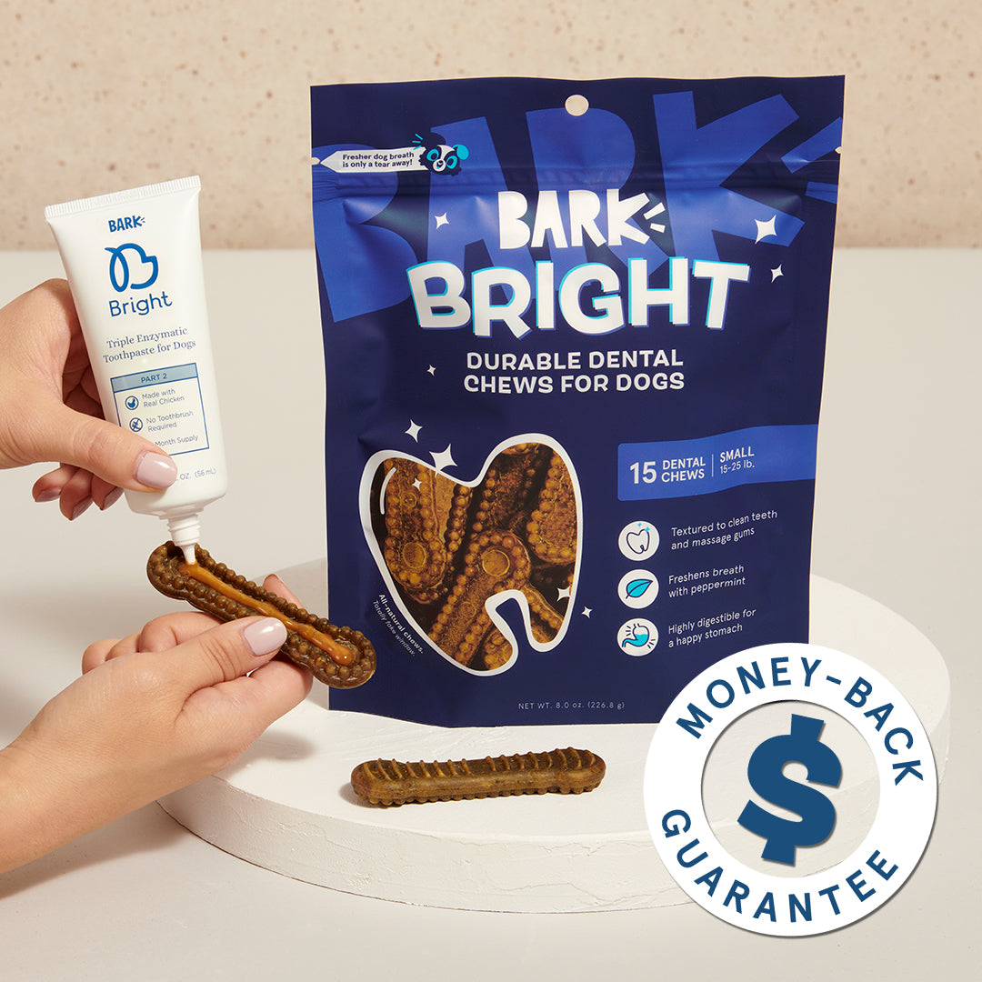 Durable Dog Dental Kit Subscription for Fresh Breath & Clean Teeth