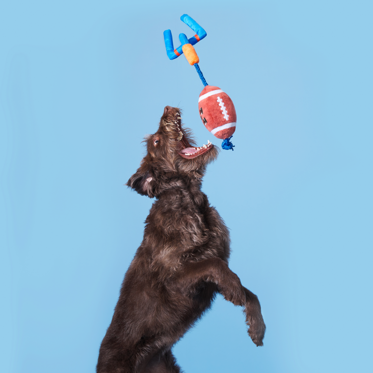 Durable Dog Toy with Squeaker & Rope for Tug of War - The Whole Canine
