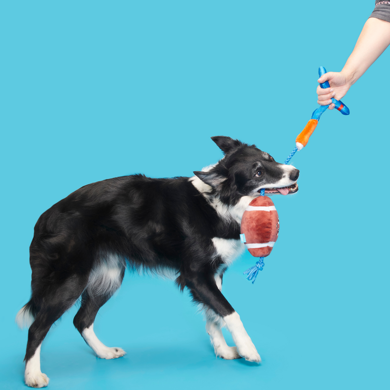 Durable Dog Toy with Squeaker & Rope for Tug of War - The Whole Canine