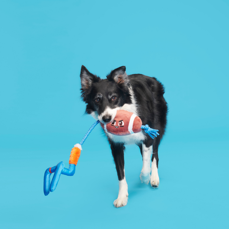 Durable Dog Toy with Squeaker & Rope for Tug of War - The Whole Canine