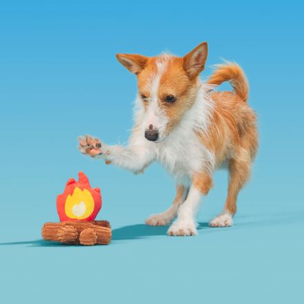 A'Hound the Campfire Dog Toy with Squeaker & Crinkle for Thrashers