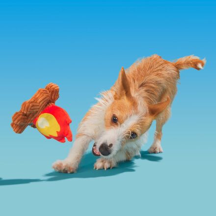 A'Hound the Campfire Dog Toy with Squeaker & Crinkle for Thrashers
