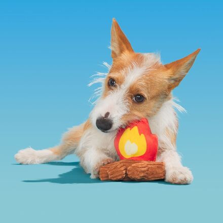 A'Hound the Campfire Dog Toy with Squeaker & Crinkle for Thrashers