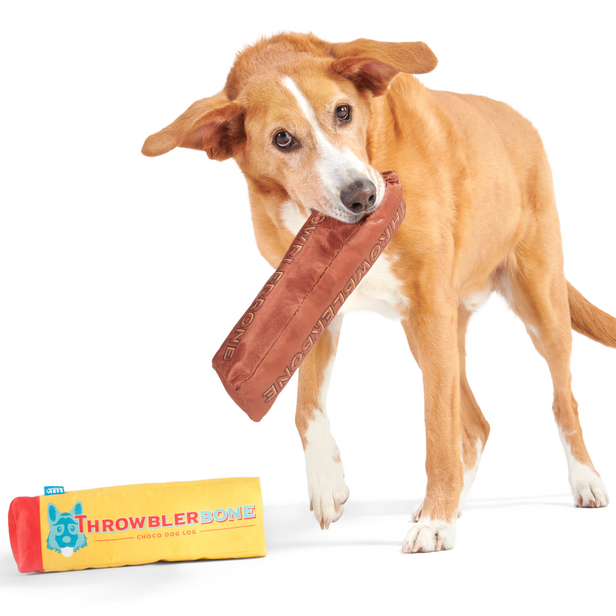 XL Squeaky Dog Toy with Crinkle & Fluff – ThrowblerBone