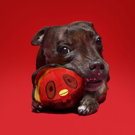 Durable Squeaky Turducken Dog Toy with Bacon Scent