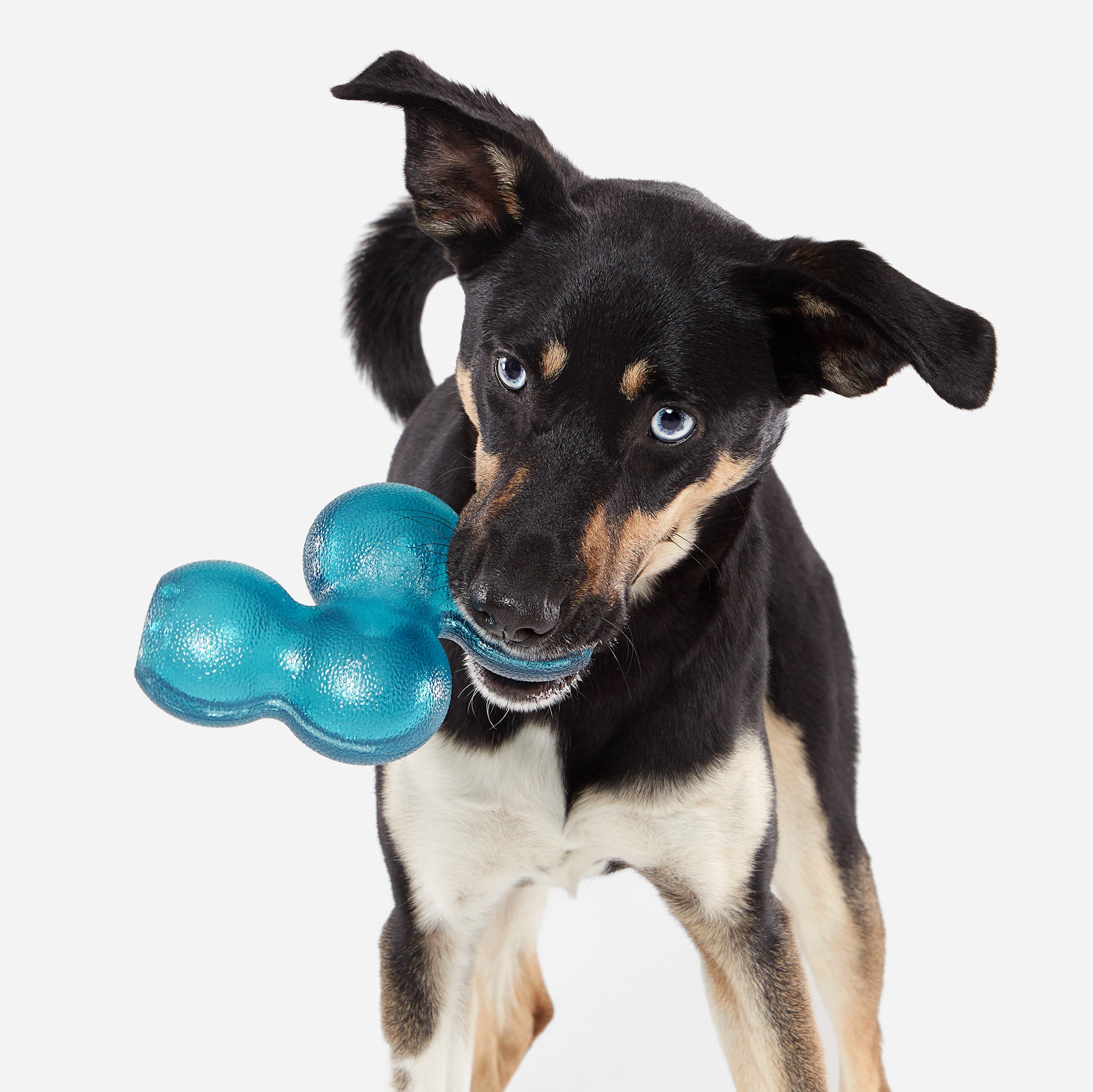 Rubber Dog Treat Dispenser Toy - Puzzle Feeder for Medium/Large Dogs