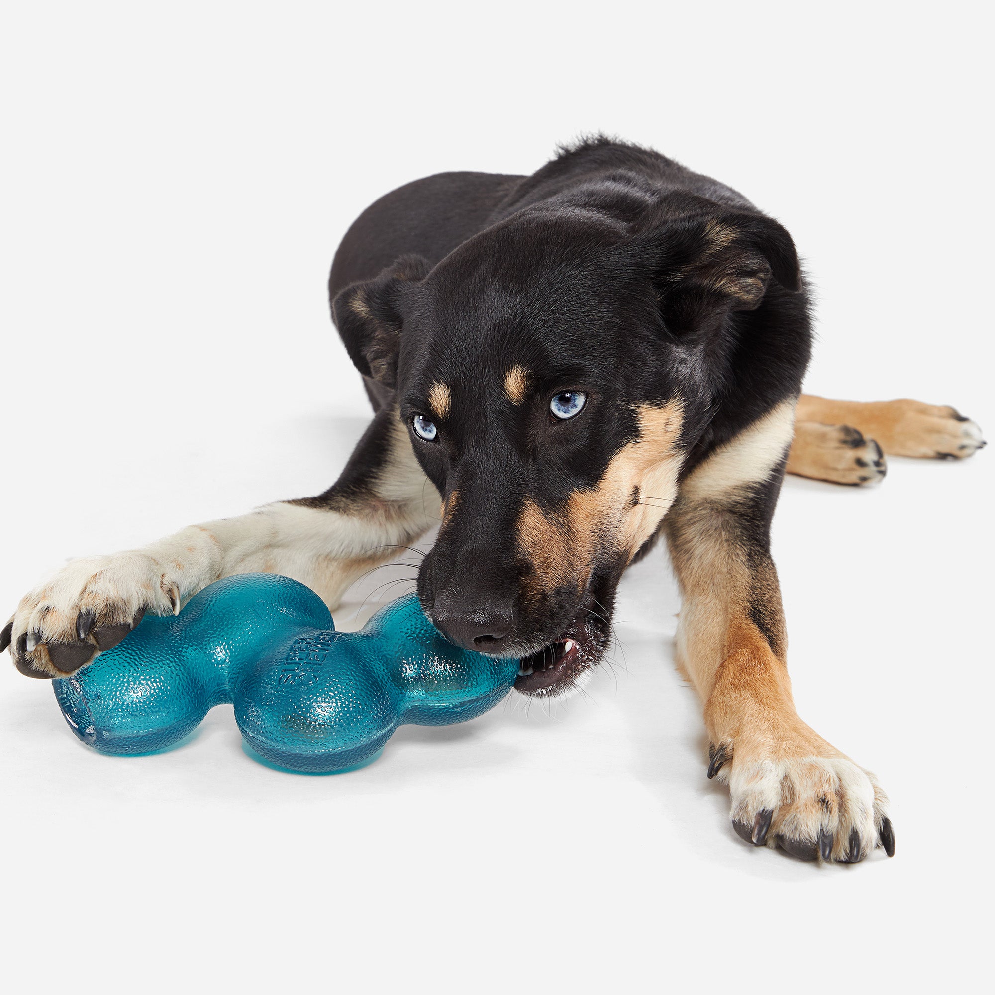 Rubber Dog Treat Dispenser Toy - Puzzle Feeder for Medium/Large Dogs