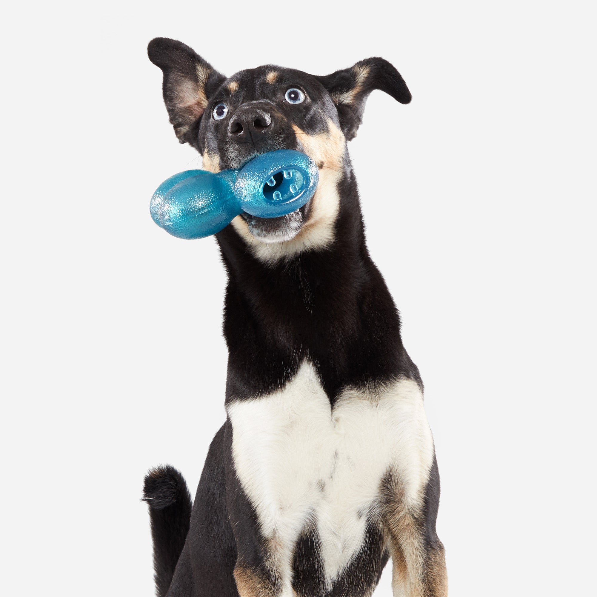 Rubber Dog Treat Dispenser Toy - Puzzle Feeder for Medium/Large Dogs