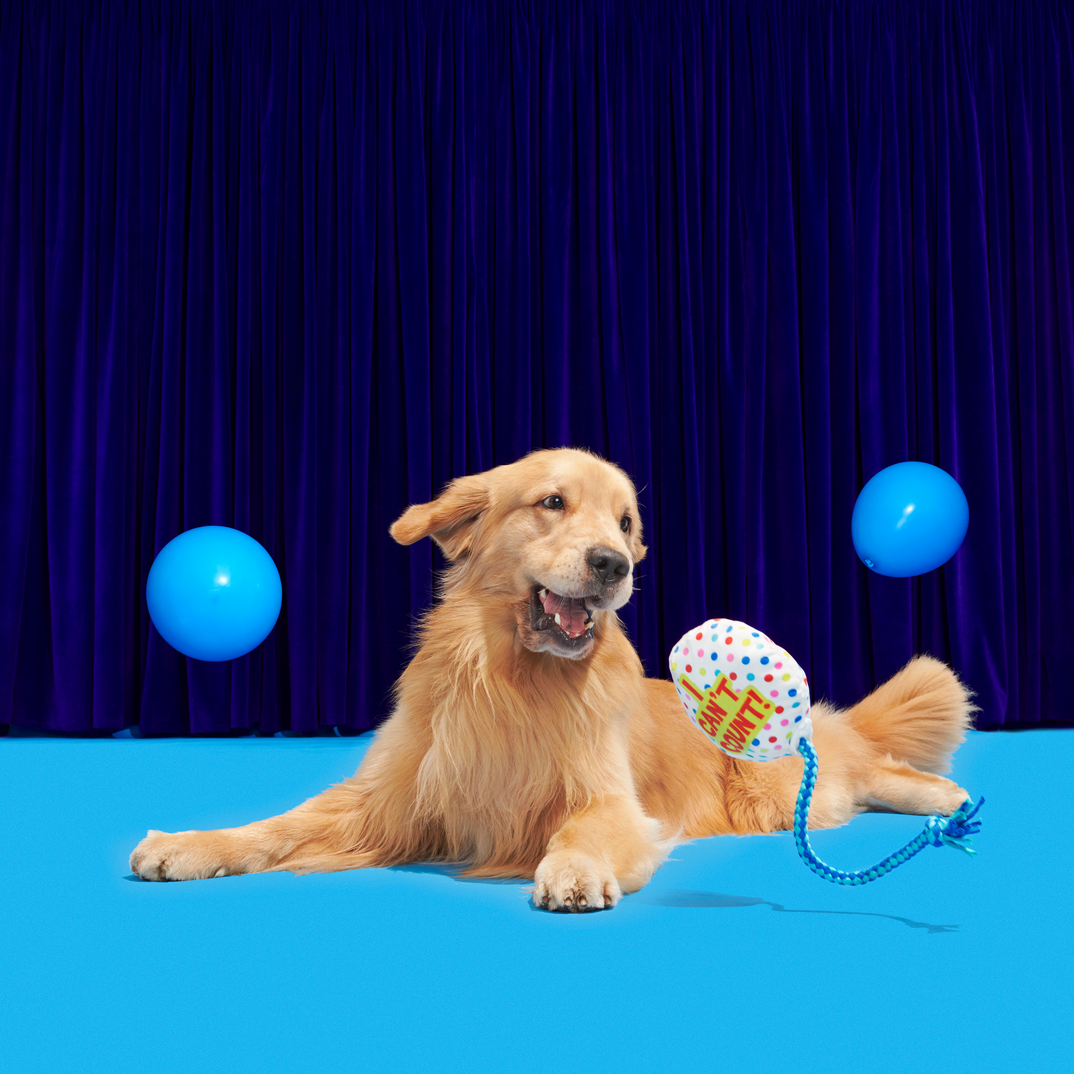 Dog Birthday Toy Balloon with Squeaker & Crinkle for Puppies