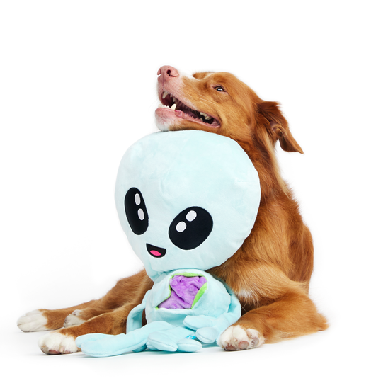 Alien Dog Toy with Squeakers & Bonus Surprise for Large Breeds