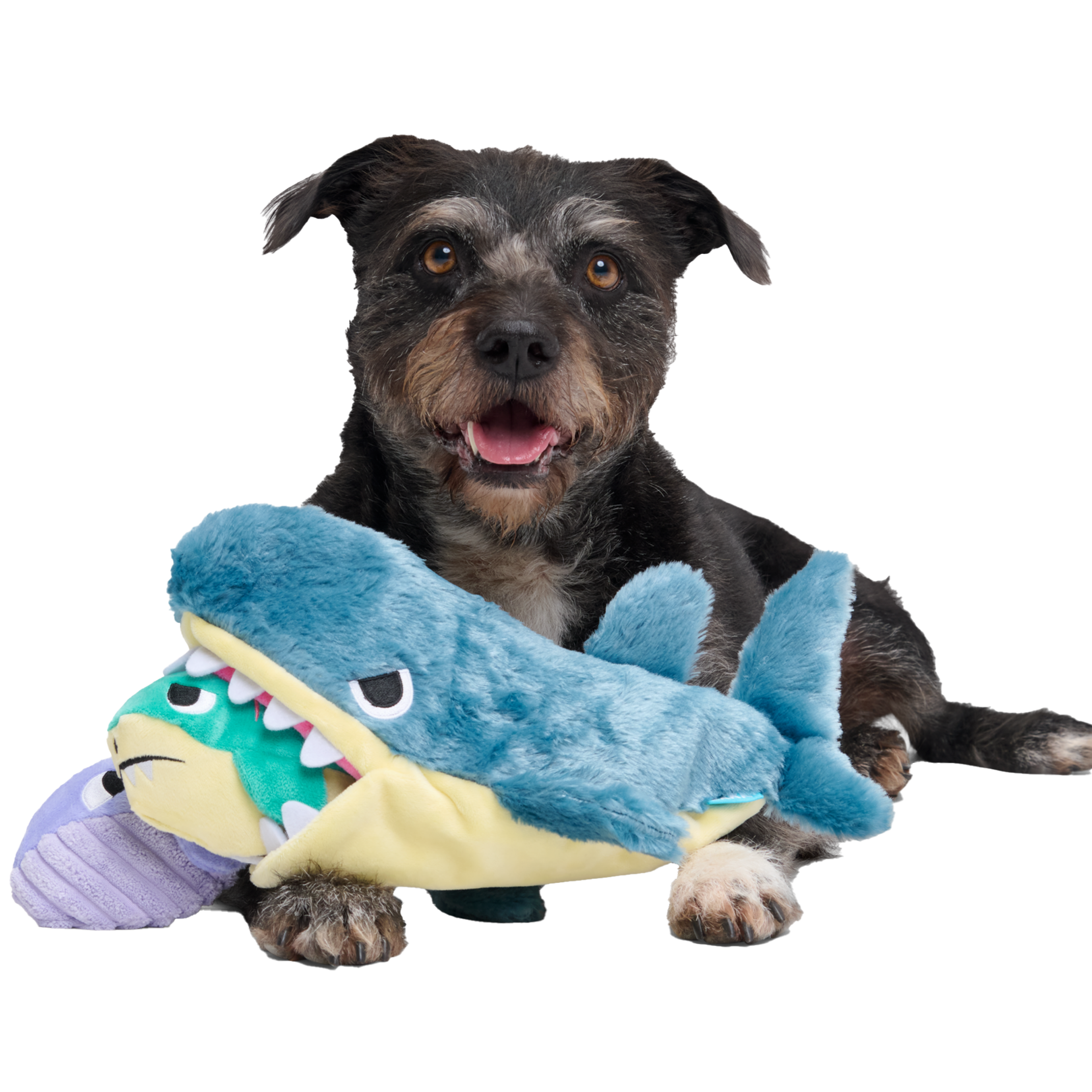 Arctic Chums Shark & Whale Dog Toys with Squeakers & Treat Trap