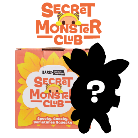 Secret Monster Club - Ayava Mystery Box for Kids & Collectors