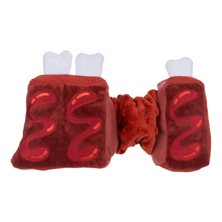 Squeaky Dog Toy with Bungee Rope - Baby Bark Ribs for Tug Play