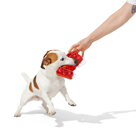 Squeaky Dog Toy with Bungee Rope - Baby Bark Ribs for Tug Play