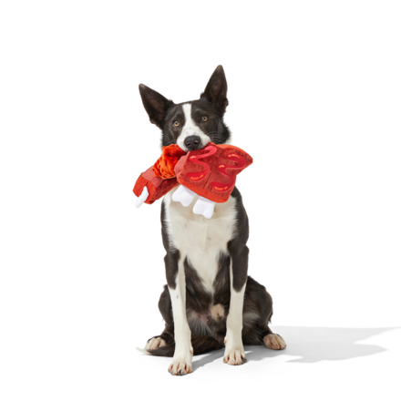 Squeaky Dog Toy with Bungee Rope - Baby Bark Ribs for Tug Play