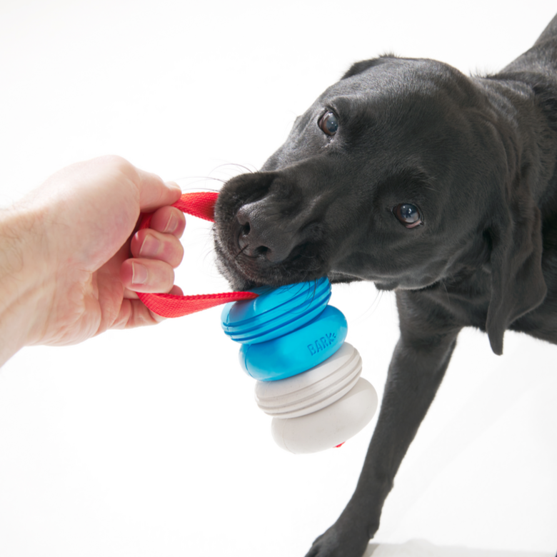 Floating Dog Toy for Water Retrievers with Nylon Strap