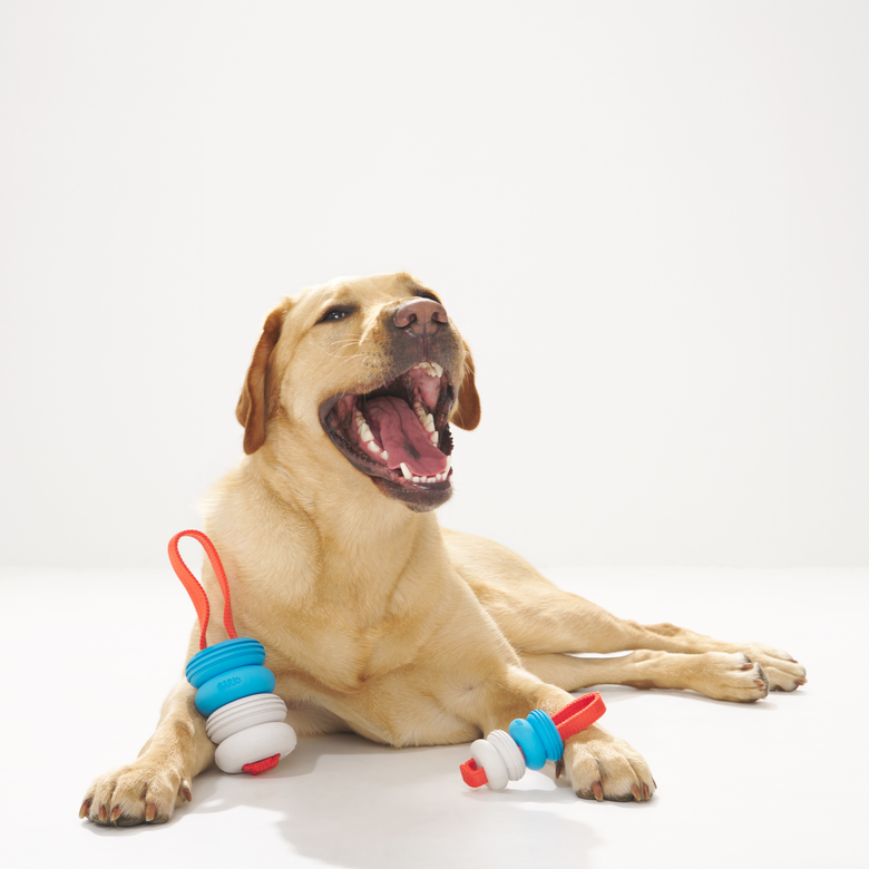 Floating Dog Toy for Water Retrievers with Nylon Strap