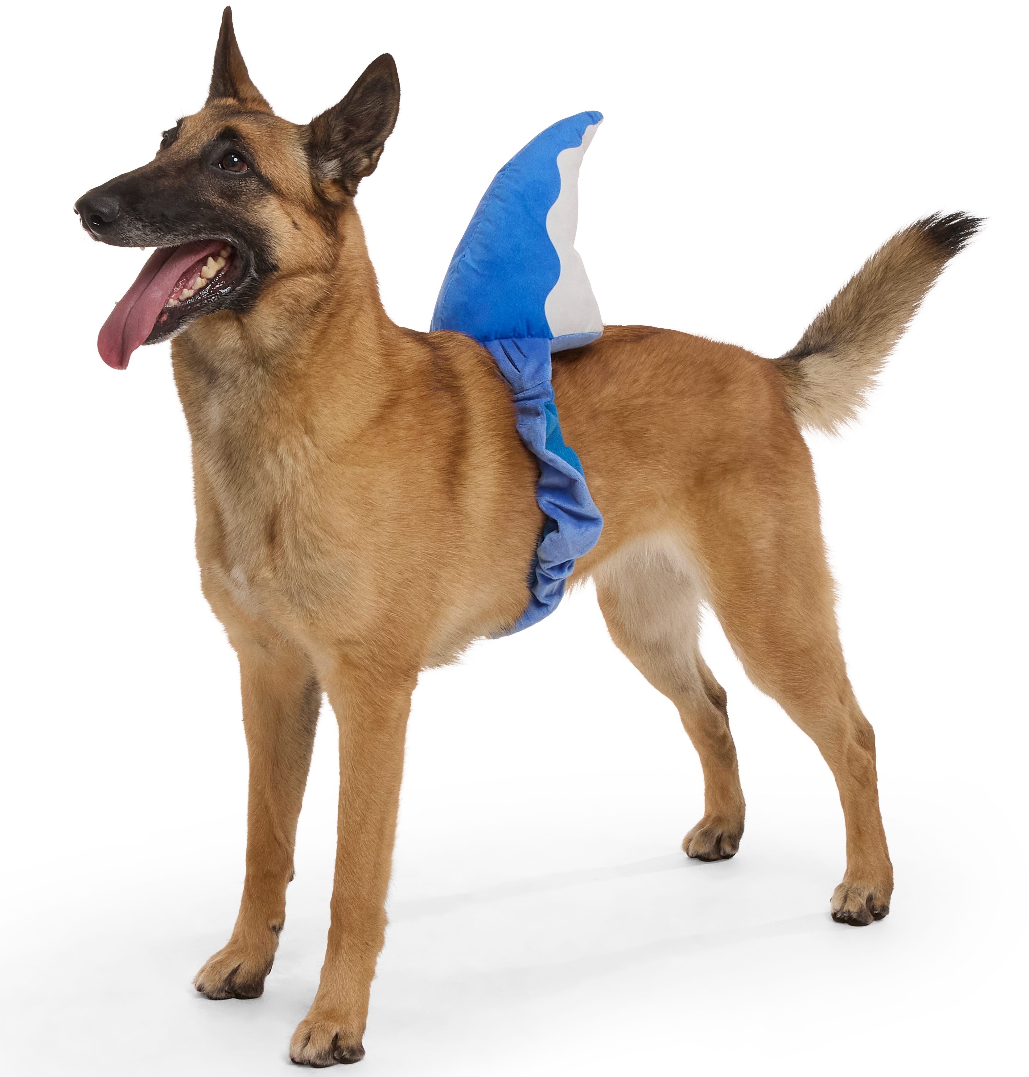 Dog Shark Fin Costume with Squeaker for Play & Dress Up