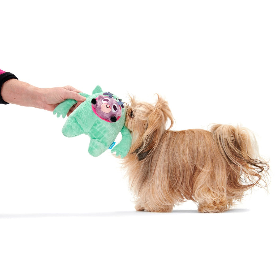 Squeaky Dog Toy with Treat Trap - Barbara Chupacabra for Play & Fetch