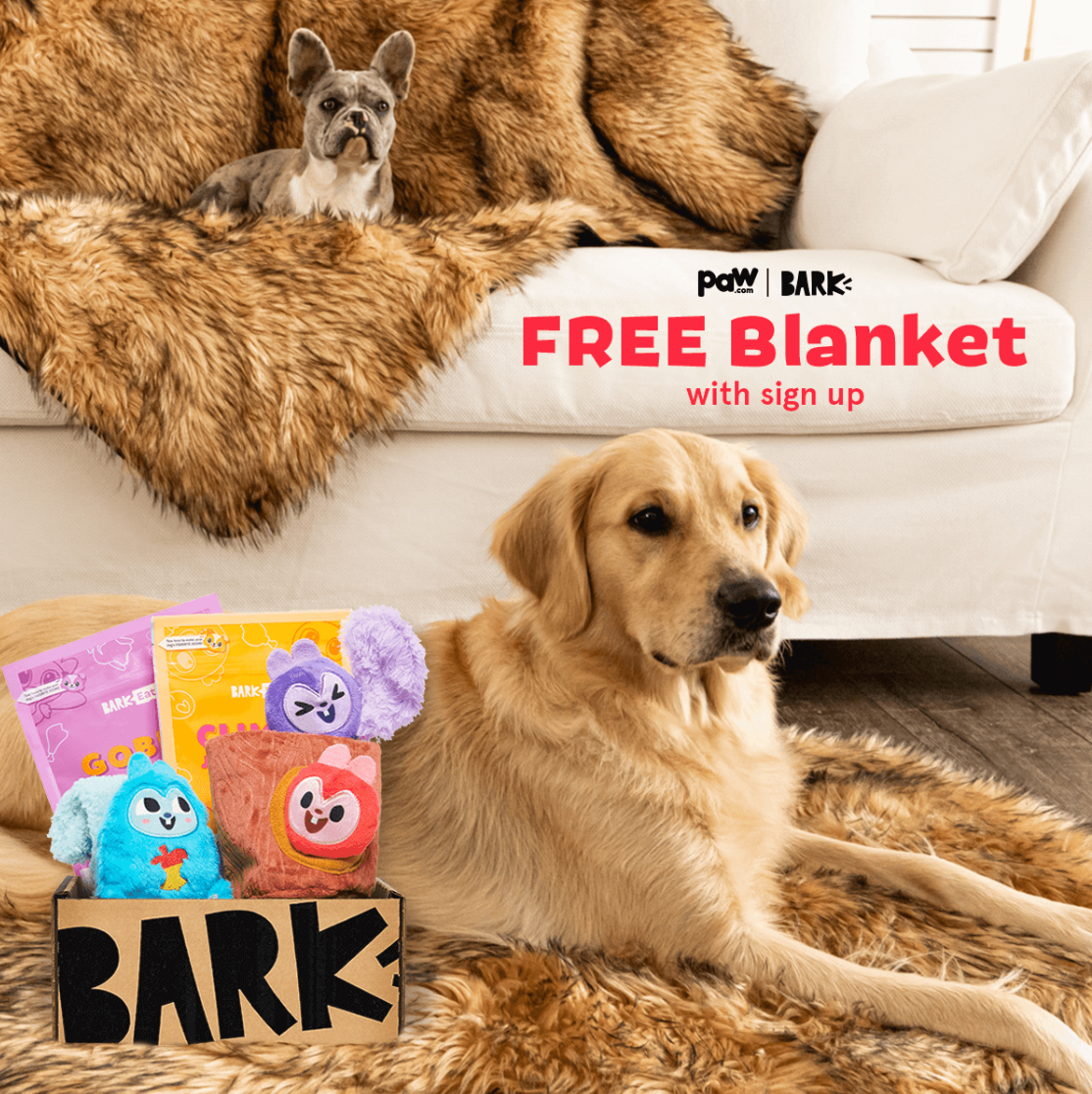 BarkBox 6-Month Dog Subscription with Free Paw Blanket