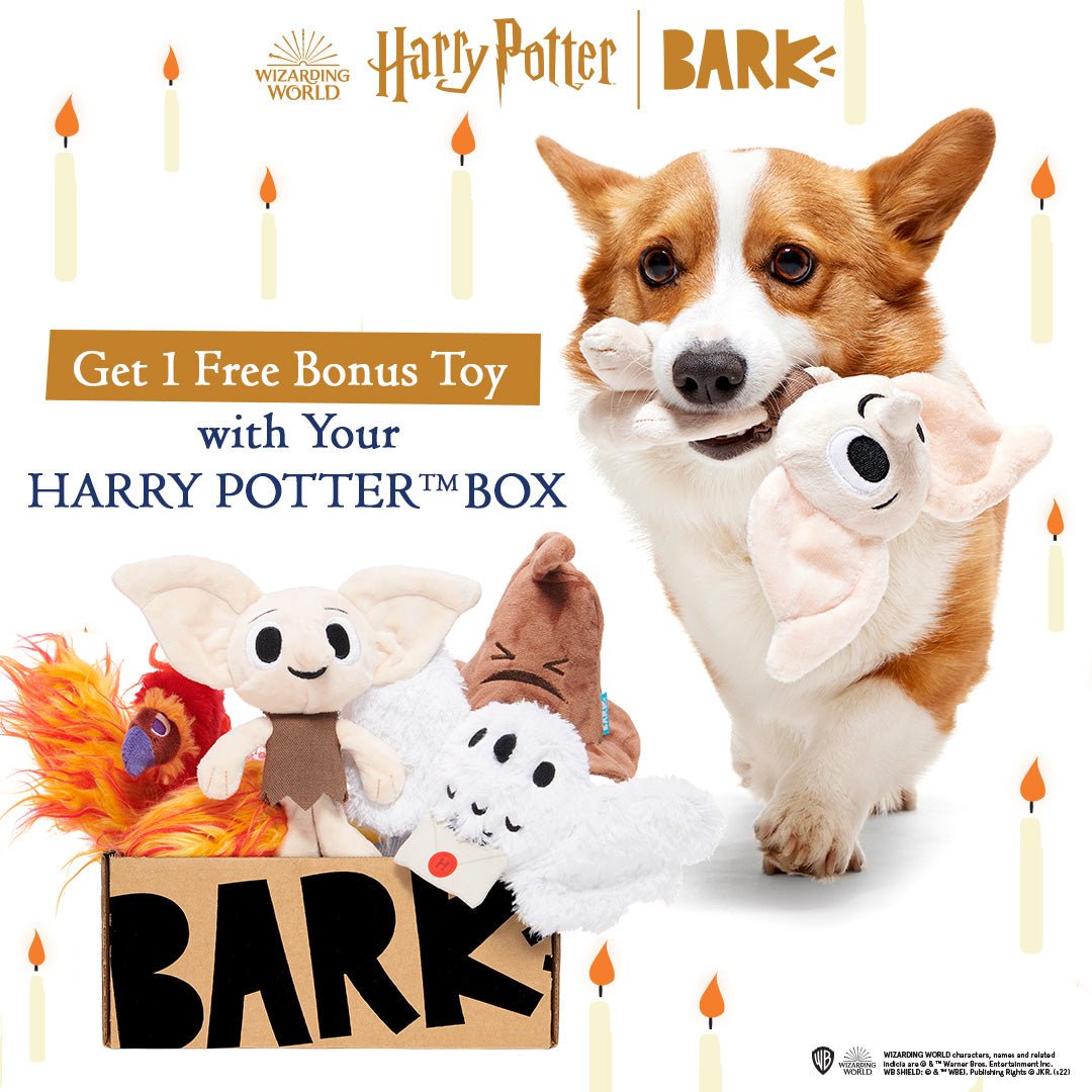 Harry Potter BarkBox Subscription - 12 Months + Free Toy
