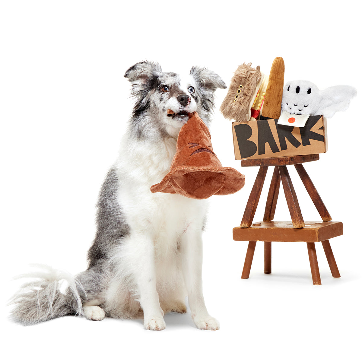 Harry Potter BarkBox Subscription - 12 Months + Free Toy