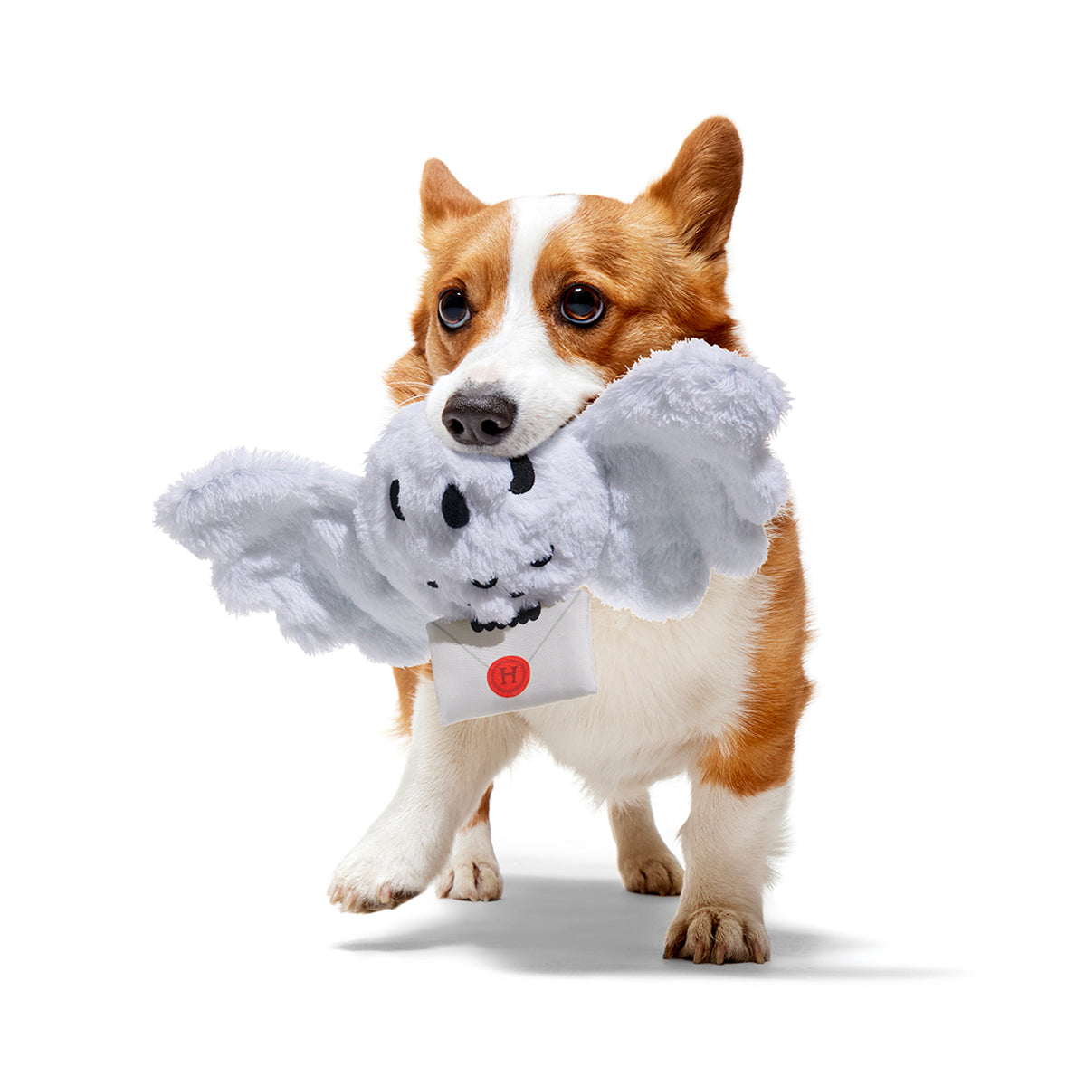 Harry Potter BarkBox Subscription - 12 Months + Free Toy