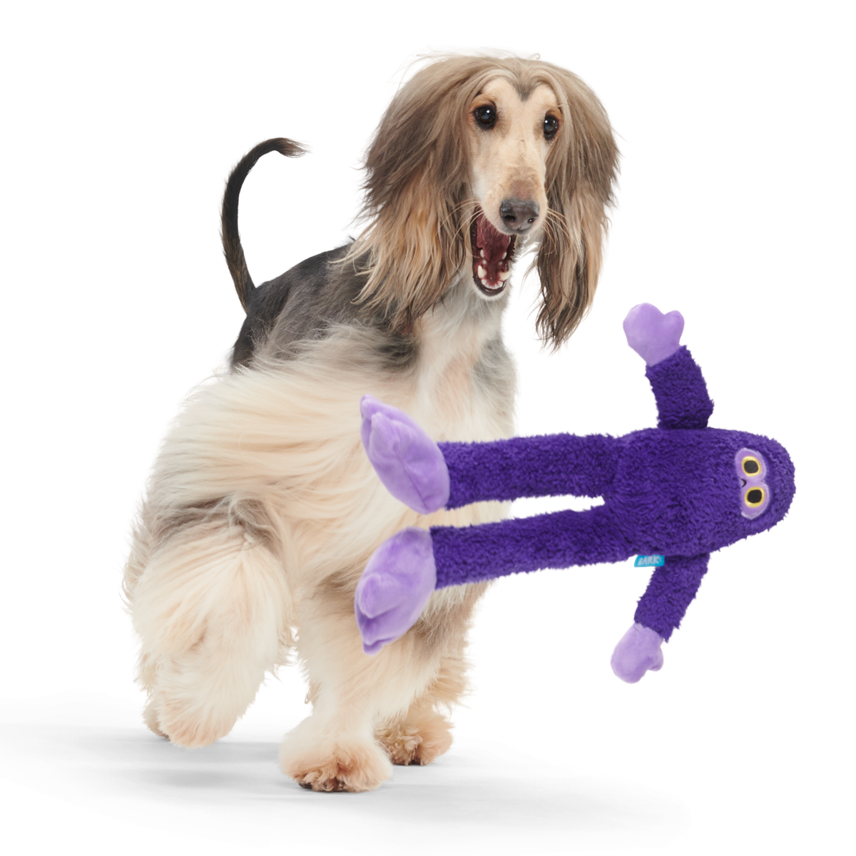 BarkBox Monthly Dog Subscription Box – 1 Month Plan